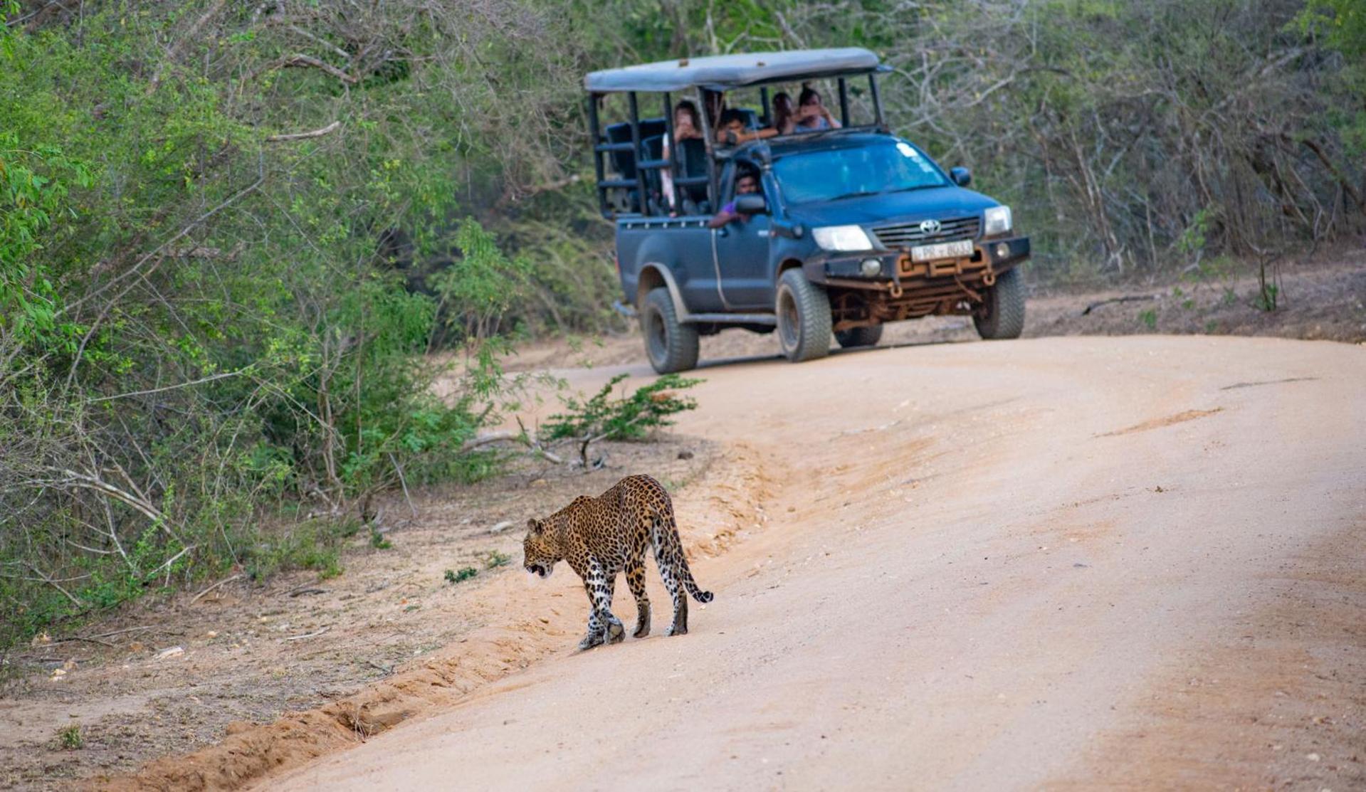 Camp Leopard - Yala Safari Glamping Hotel Exterior photo
